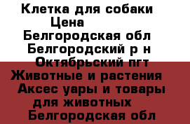 Клетка для собаки › Цена ­ 4 500 - Белгородская обл., Белгородский р-н, Октябрьский пгт Животные и растения » Аксесcуары и товары для животных   . Белгородская обл.